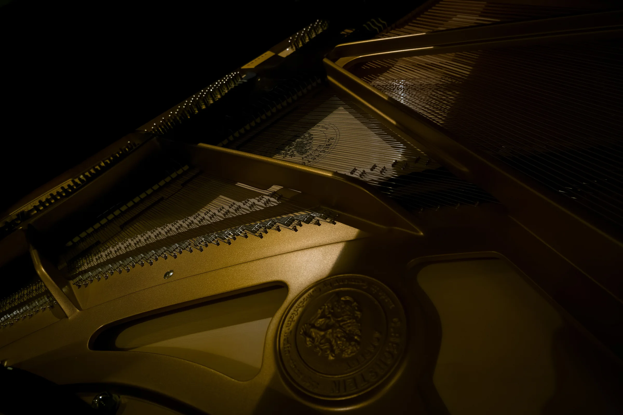 The golden interior structure and strings of a grand piano emerging from darkness