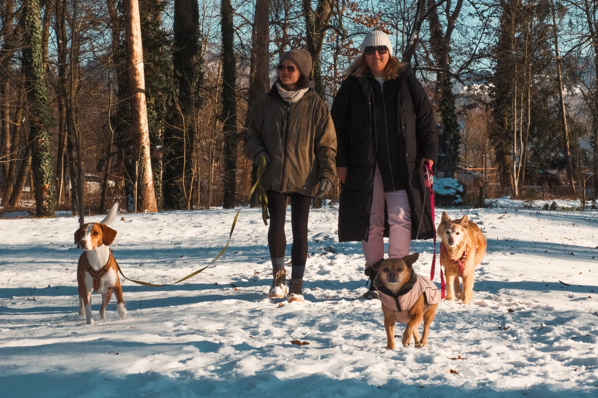 Two women walking several dogs through a snowy park