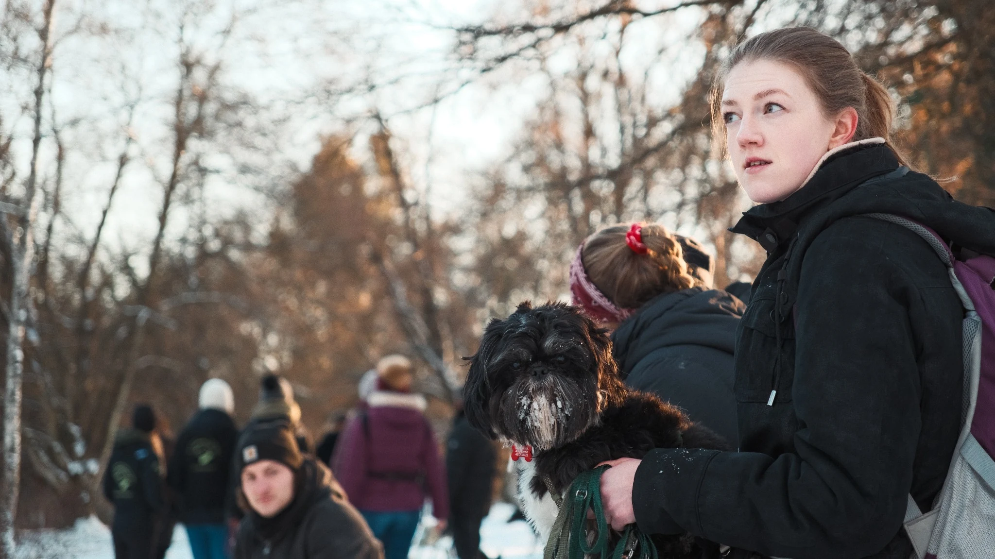 Young woman carrying a small black dog during the winter social walk