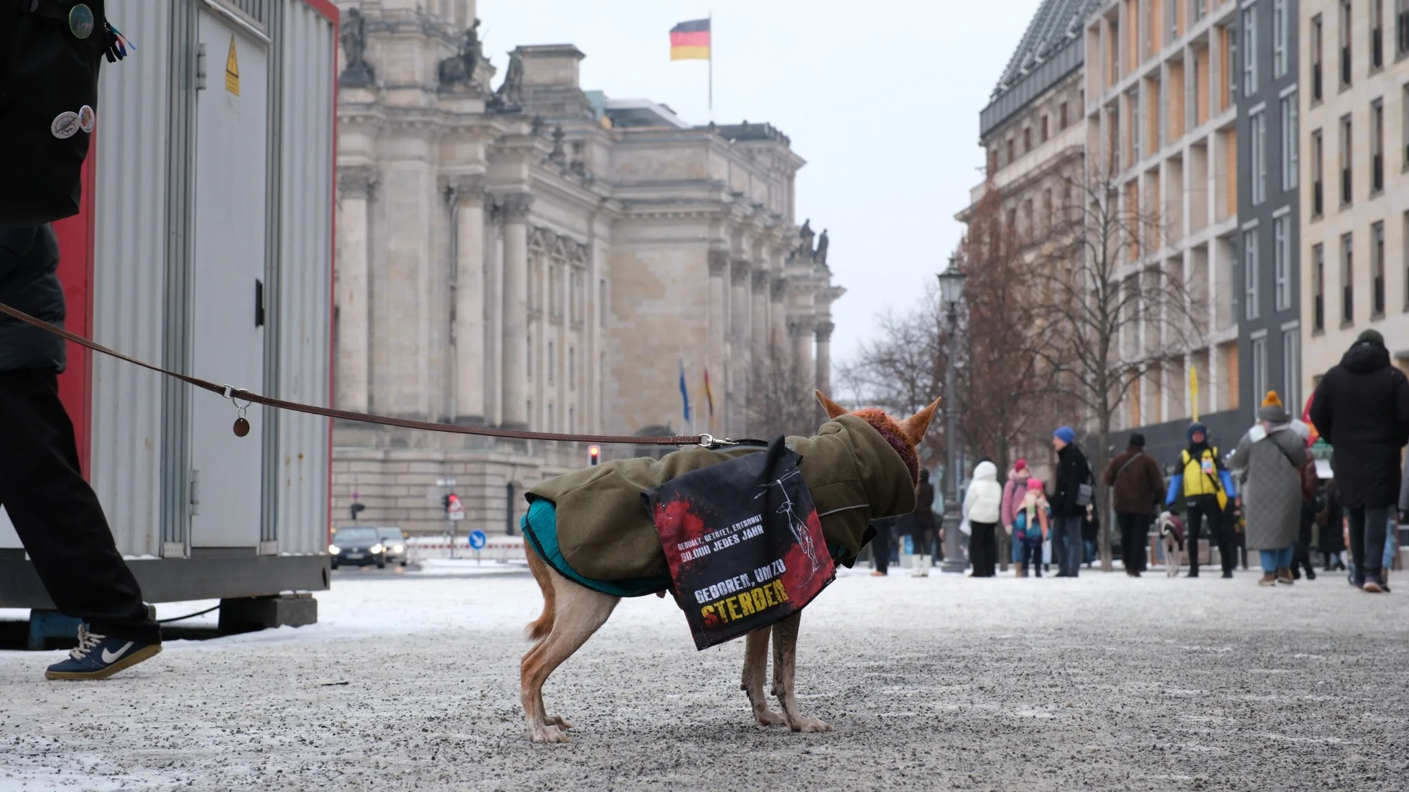 Dog wearing a campaign bag near the Reichstag during a winter demonstration in Berlin