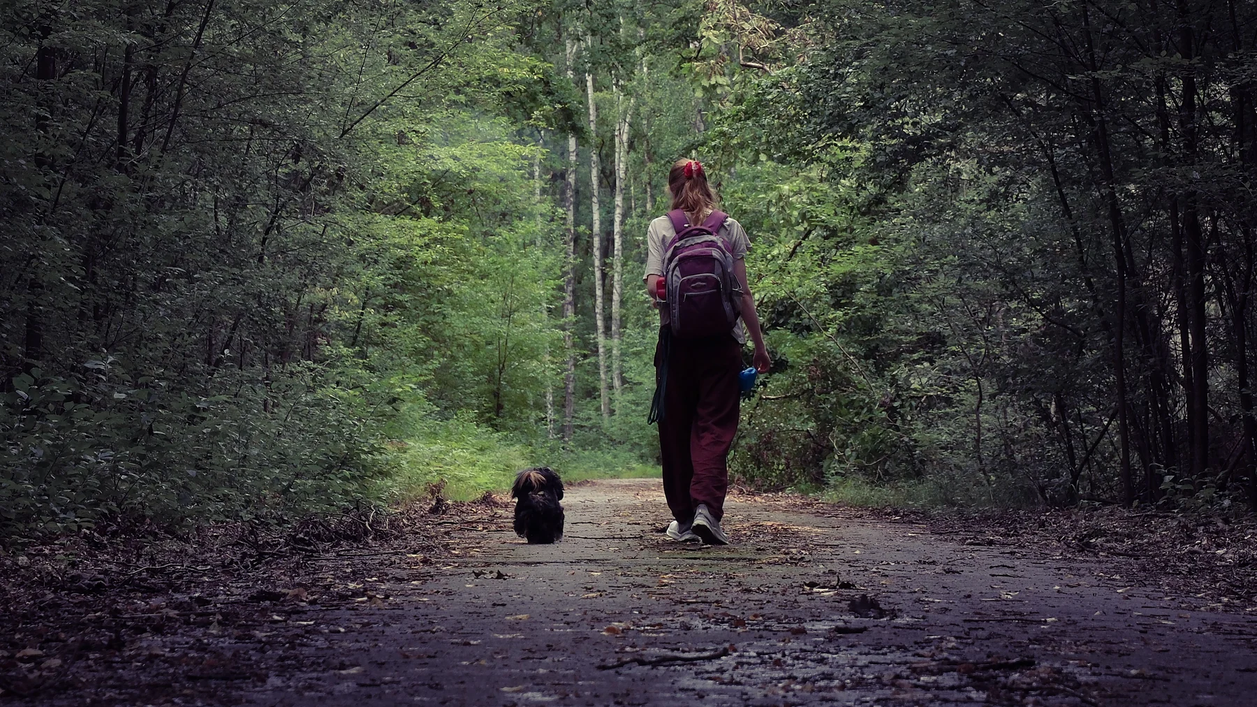 Woman walking a small dog along a quiet forest path