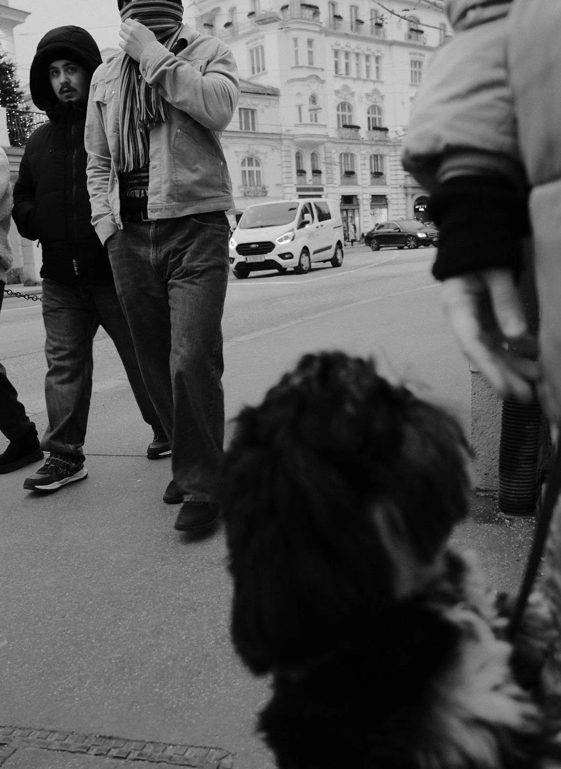 Black-and-white street photograph from a dog social walk